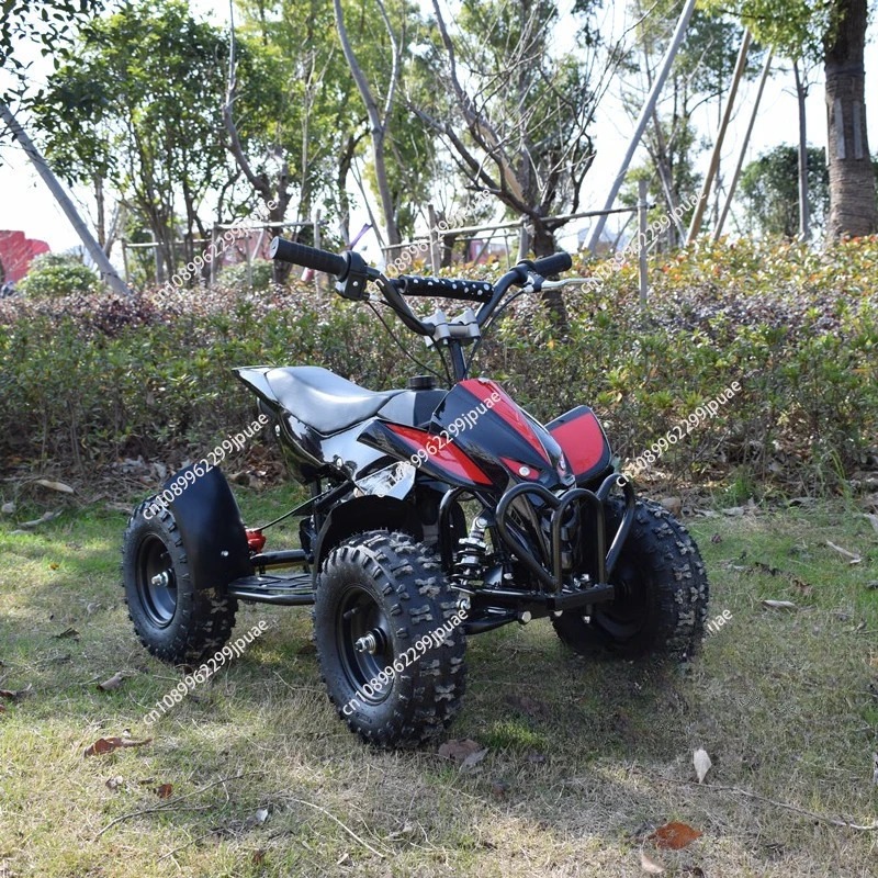 49cc 2ストロークミニバイク ミニクワッドATV ガソリ - Kids Outdoor Quad Bike のレビューと価格