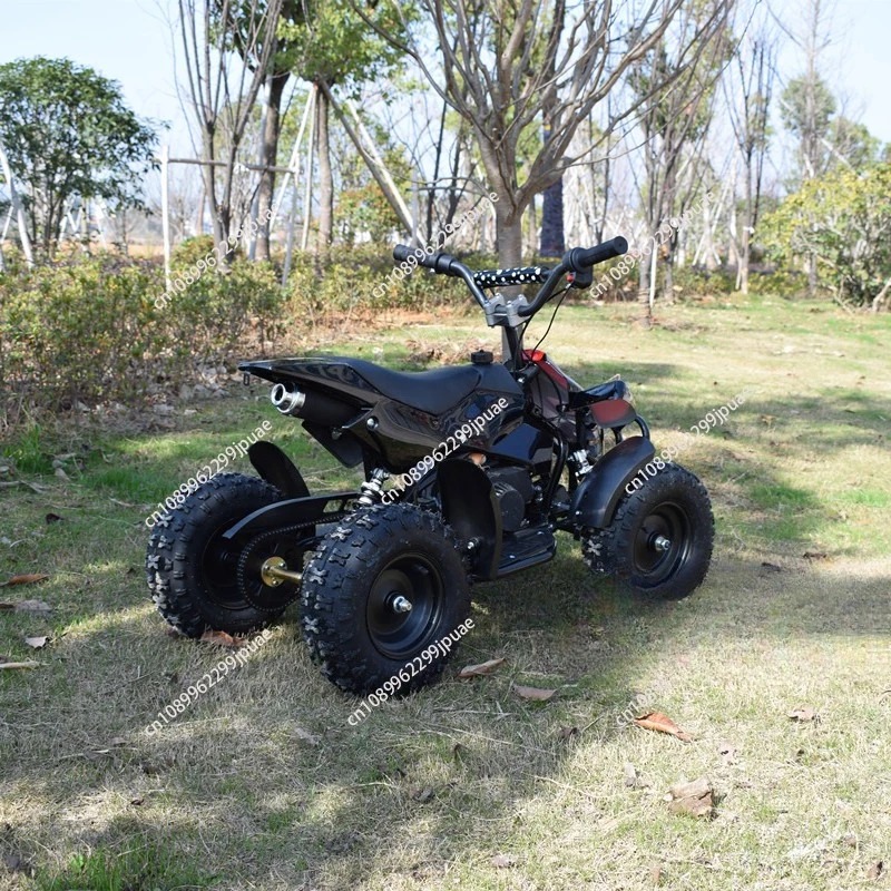 49cc 2ストロークミニバイク ミニクワッドATV ガソリ - Kids Outdoor Quad Bike のレビューと価格