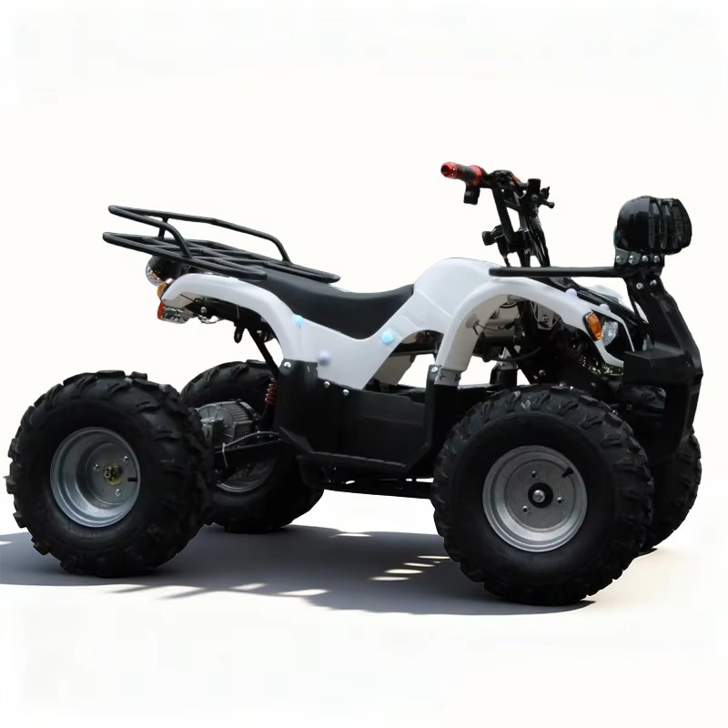 750W 48V 子供用電動ATVクワッド4輪車、自動シャフ - Kids Outdoor Quad Bike のレビューと価格