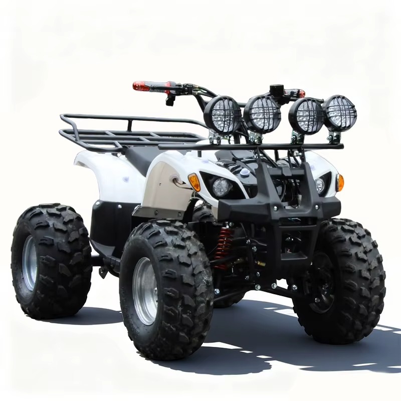750W 48V 子供用電動ATVクワッド4輪車、自動シャフ - Kids Outdoor Quad Bike のレビューと価格