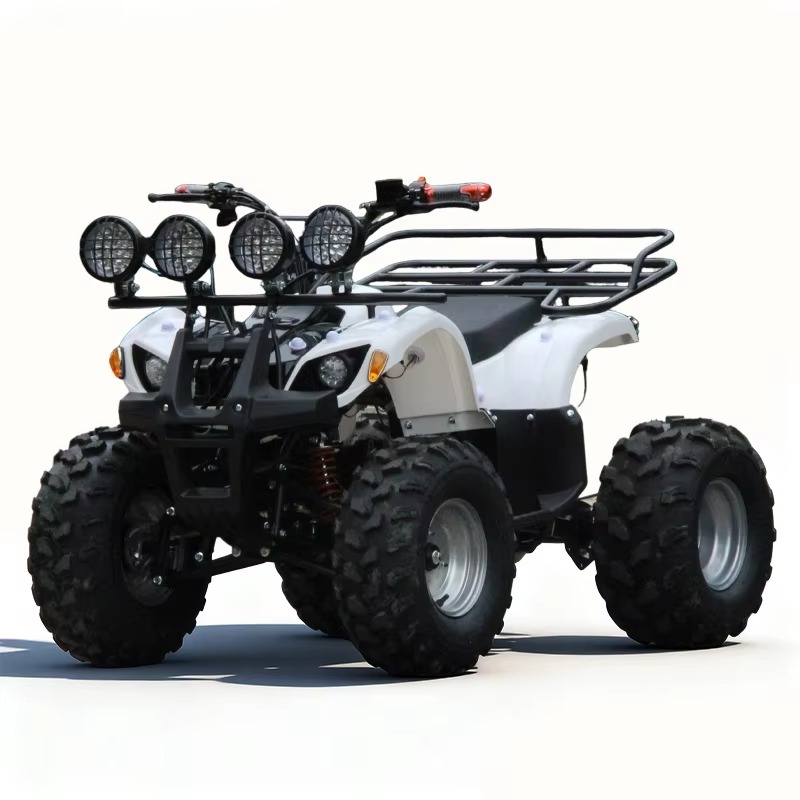 750W 48V 子供用電動ATVクワッド4輪車、自動シャフ - Kids Outdoor Quad Bike のレビューと価格