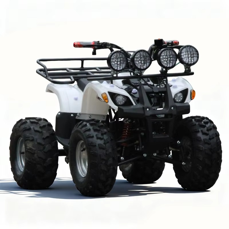 750W 48V 子供用電動ATVクワッド4輪車、自動シャフ - Kids Outdoor Quad Bike のレビューと価格