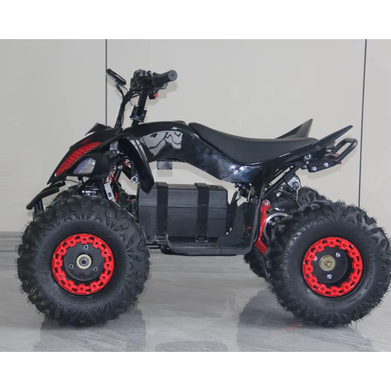 48V 1000W 電動キッズATV 4輪クワッドバイク、高 - Kids Outdoor Quad Bike のレビューと価格