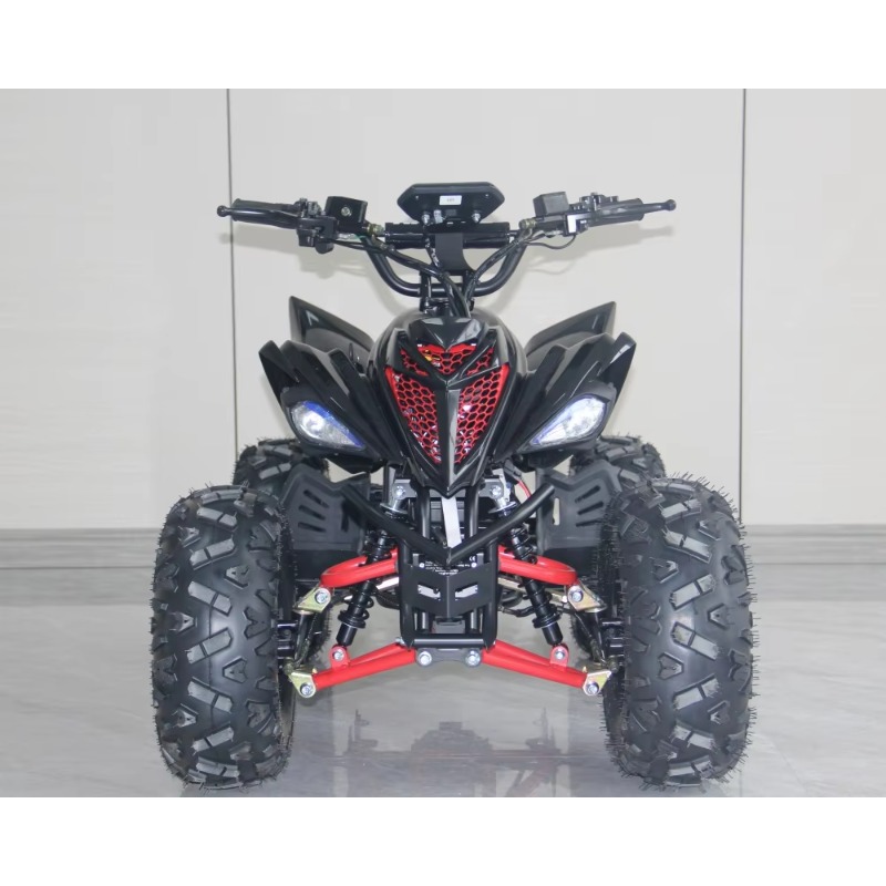 48V 1000W 電動キッズATV 4輪クワッドバイク、高 - Kids Outdoor Quad Bike のレビューと価格