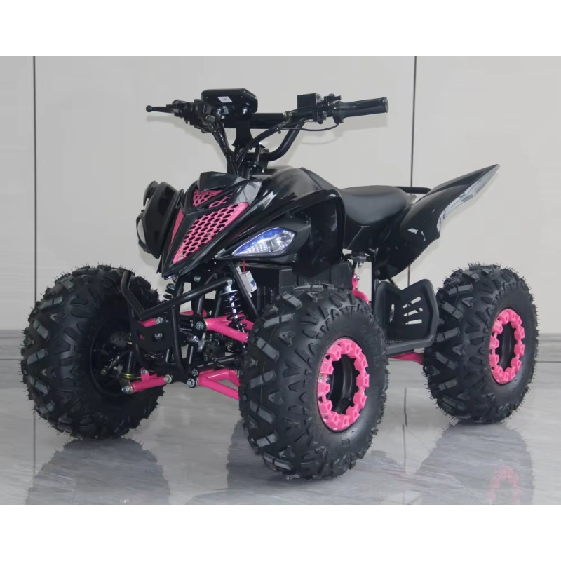 48V 1000W 電動キッズATV 4輪クワッドバイク、高 - Kids Outdoor Quad Bike のレビューと価格